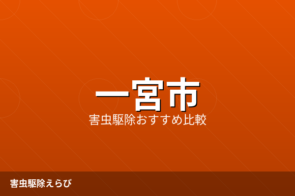一宮市のシロアリ駆除｜専門知識と依頼手順【2026年版】